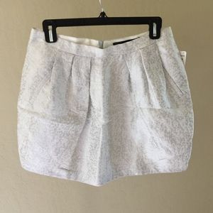 Zara NWT Silver Skirt, SZ M